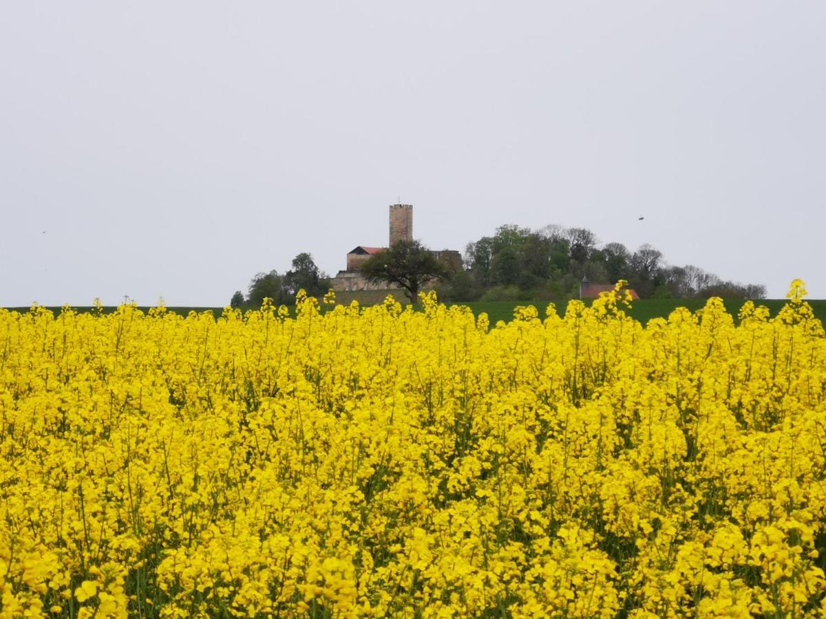 Im Herzen Des Kraichgaus 1 Ostringen 外观 照片