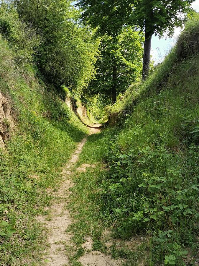 Im Herzen Des Kraichgaus 1 Ostringen 外观 照片